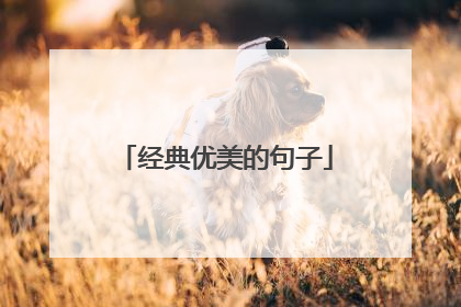 经典优美的句子