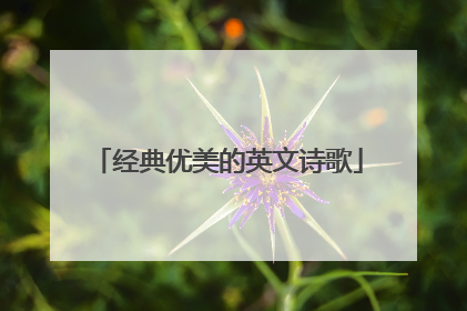 经典优美的英文诗歌