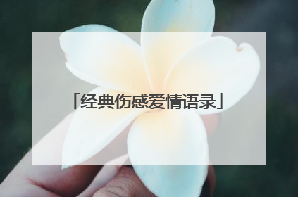 经典伤感爱情语录