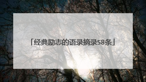 经典励志的语录摘录58条