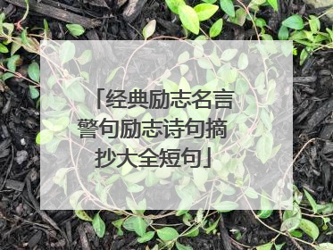 经典励志名言警句励志诗句摘抄大全短句