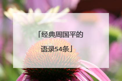 经典周国平的语录54条