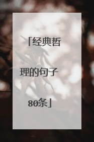 经典哲理的句子80条