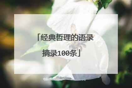 经典哲理的语录摘录100条