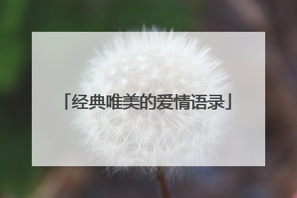 经典唯美的爱情语录