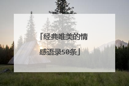 经典唯美的情感语录50条