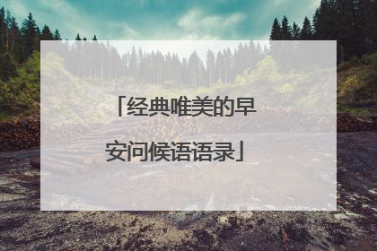 经典唯美的早安问候语语录