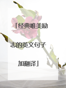 经典唯美励志的英文句子加翻译