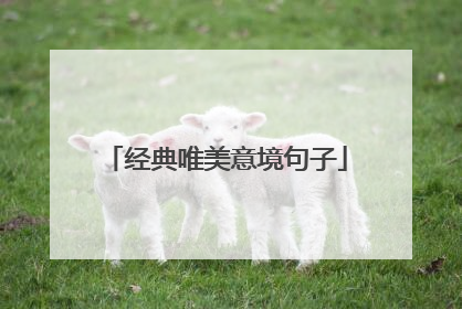 经典唯美意境句子