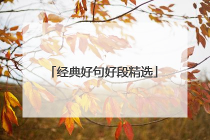 经典好句好段精选