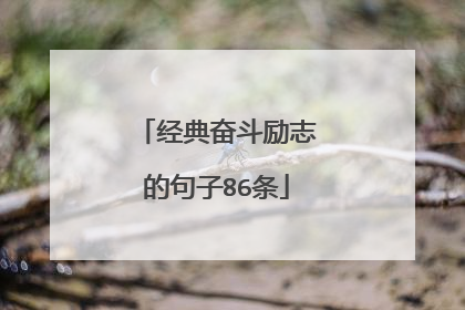 经典奋斗励志的句子86条