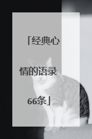 经典心情的语录66条
