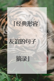 经典形容友谊的句子摘录