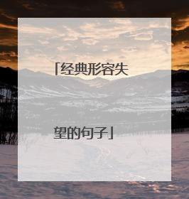 经典形容失望的句子