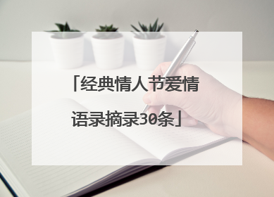 经典情人节爱情语录摘录30条