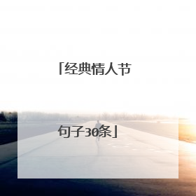 经典情人节句子30条