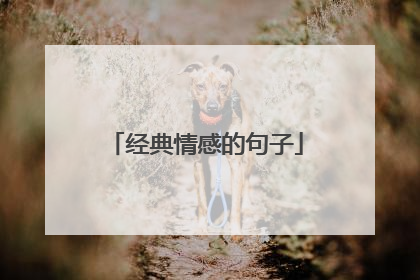 经典情感的句子