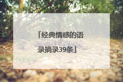 经典情感的语录摘录39条