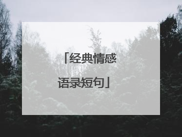 经典情感语录短句