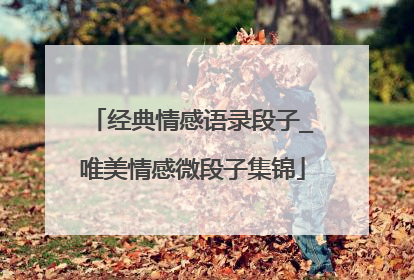 经典情感语录段子_唯美情感微段子集锦