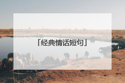 经典情话短句