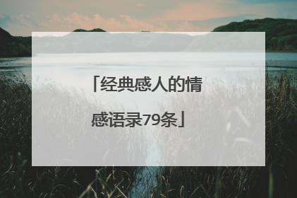 经典感人的情感语录79条