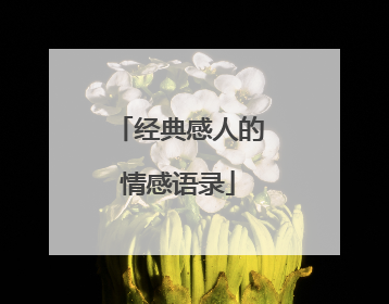 经典感人的情感语录