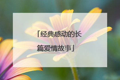 经典感动的长篇爱情故事
