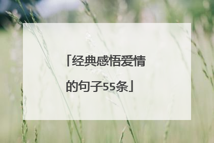 经典感悟爱情的句子55条