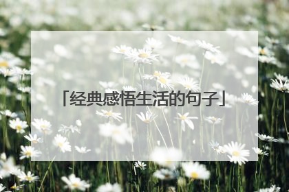 经典感悟生活的句子