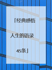 经典感悟人生的语录45条