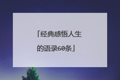 经典感悟人生的语录60条