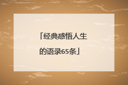 经典感悟人生的语录65条