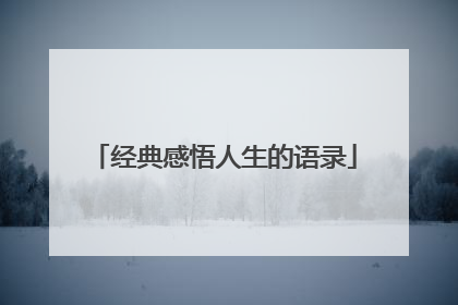 经典感悟人生的语录