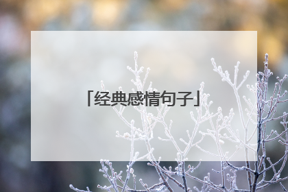 经典感情句子