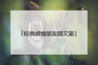 经典感情朋友圈文案