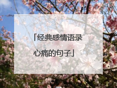 经典感情语录心痛的句子