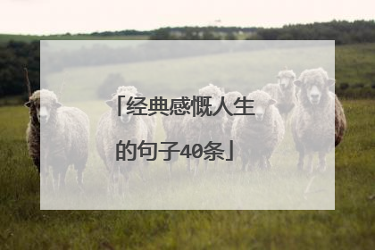 经典感慨人生的句子40条