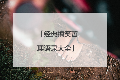 经典搞笑哲理语录大全