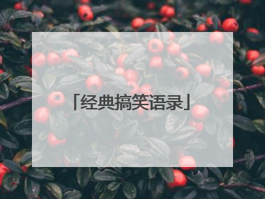 经典搞笑语录