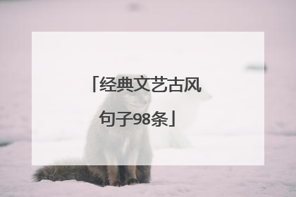 经典文艺古风句子98条