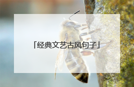 经典文艺古风句子