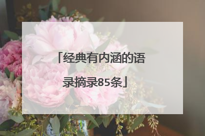 经典有内涵的语录摘录85条