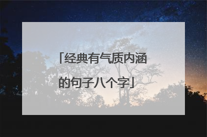经典有气质内涵的句子八个字