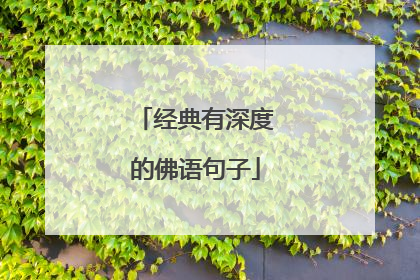 经典有深度的佛语句子