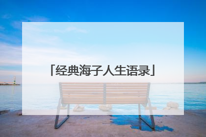 经典海子人生语录