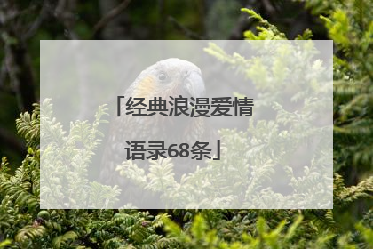 经典浪漫爱情语录68条