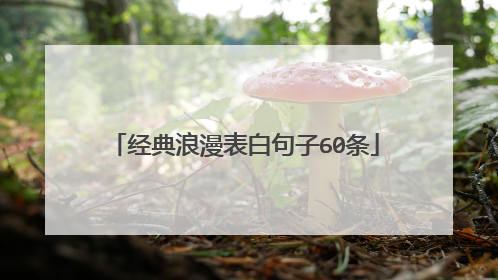 经典浪漫表白句子60条