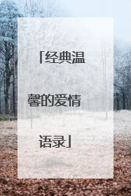 经典温馨的爱情语录