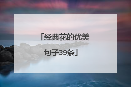 经典花的优美句子39条
